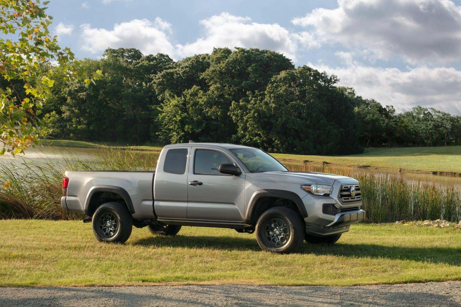 Used Toyota Tacoma