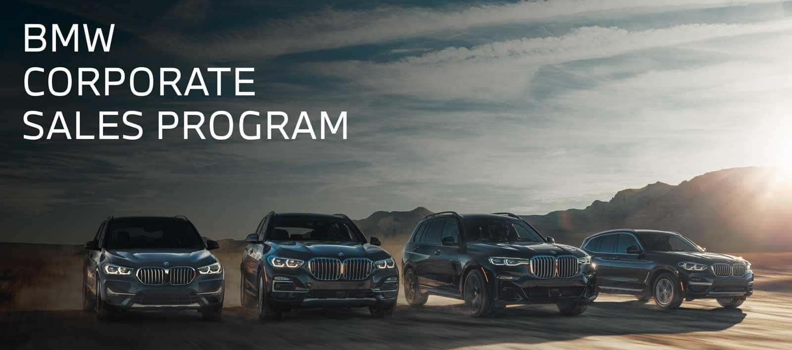 BMW corporate sales program