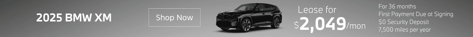 2025-bmw-xm