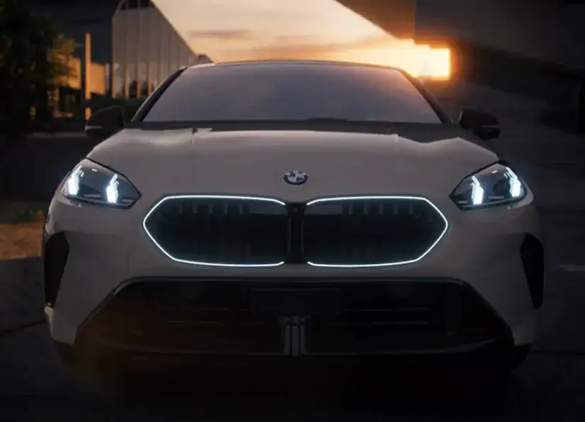 Iconic Glow Kidney Grille