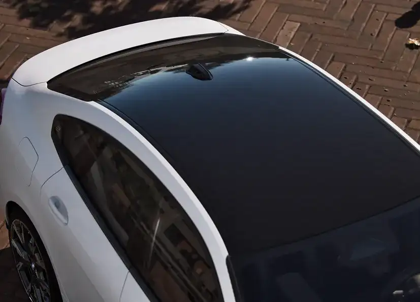Black roof