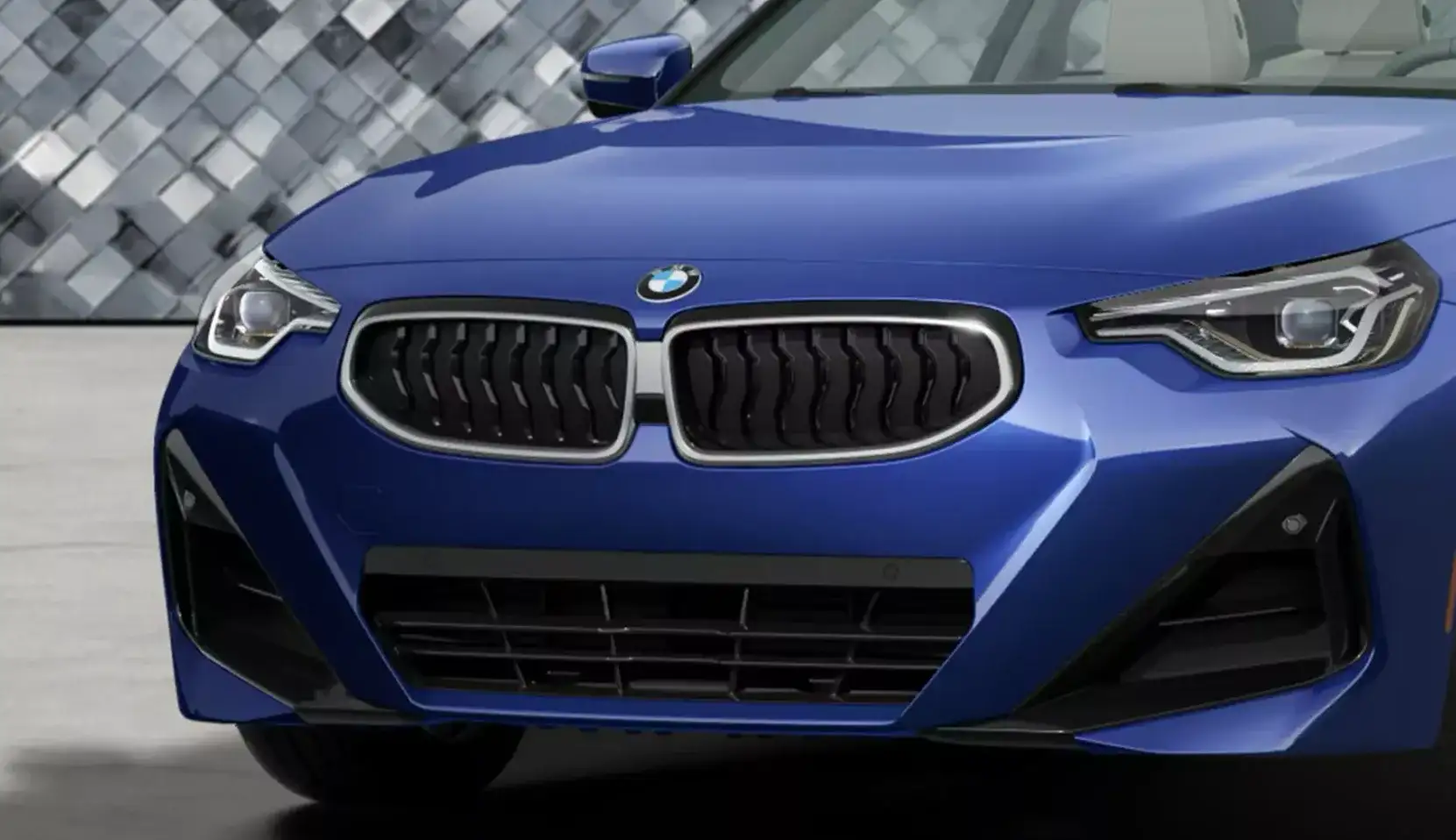 BMW 2 Series kidney grille