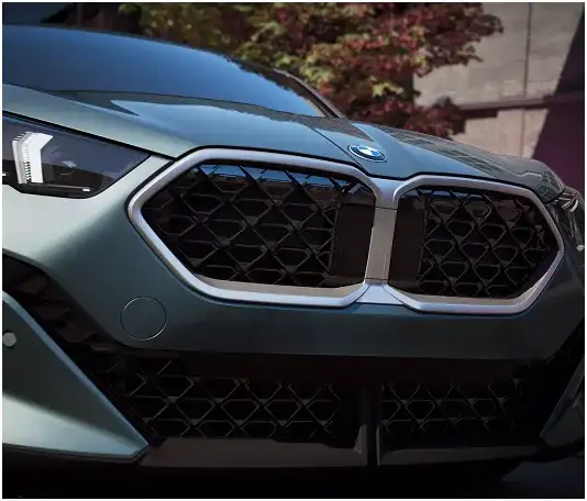 BMW X2 sporty kidney grille