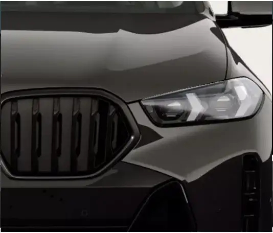 BMW X2 19 inch Y-Spoke Bicolor wheels