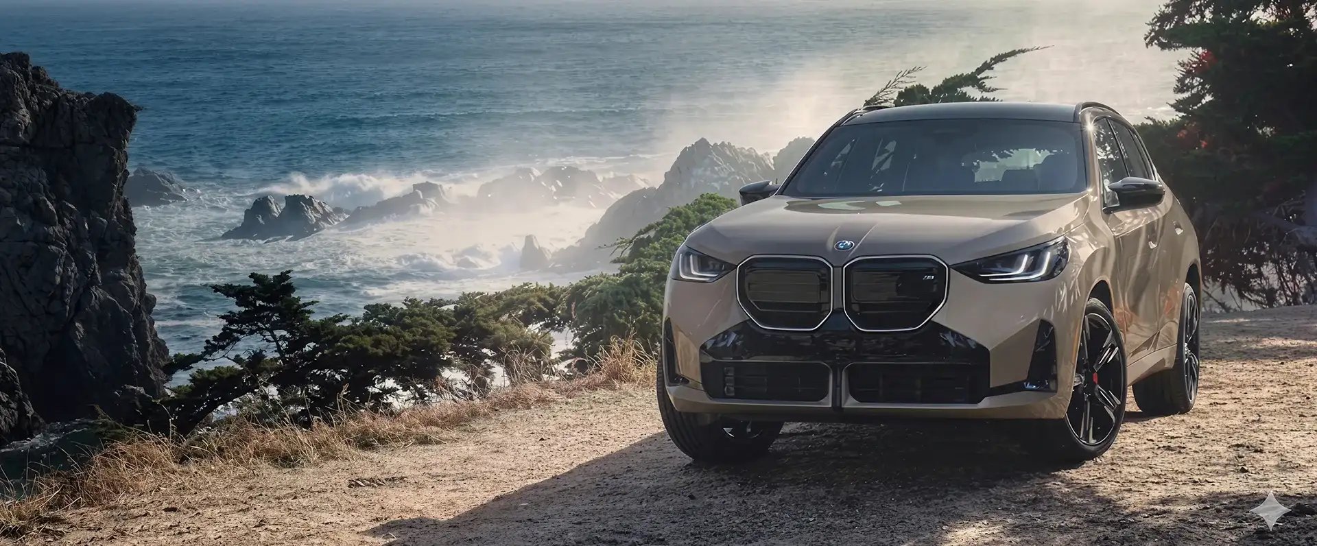 2026 BMW X3 exterior in color