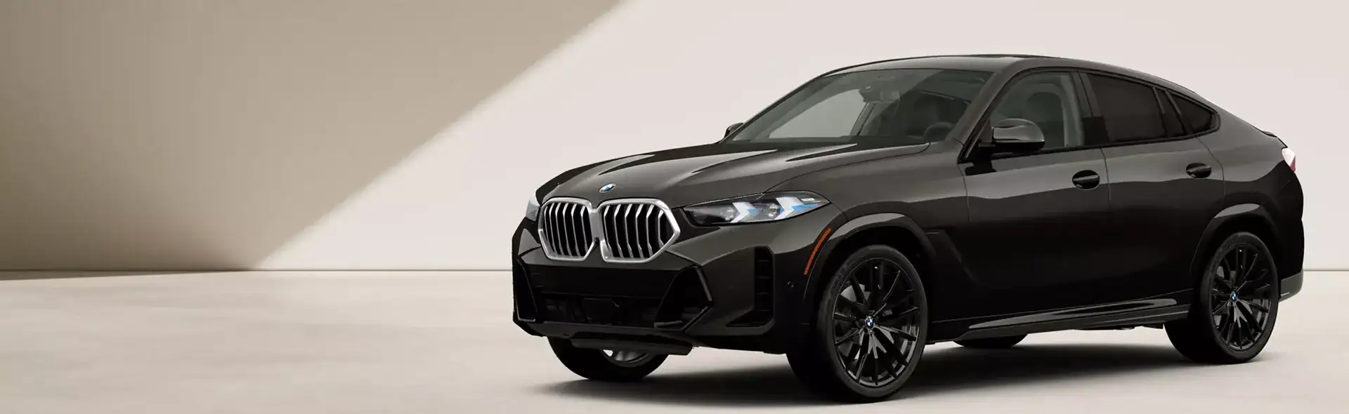 2027 BMW X6 Hero