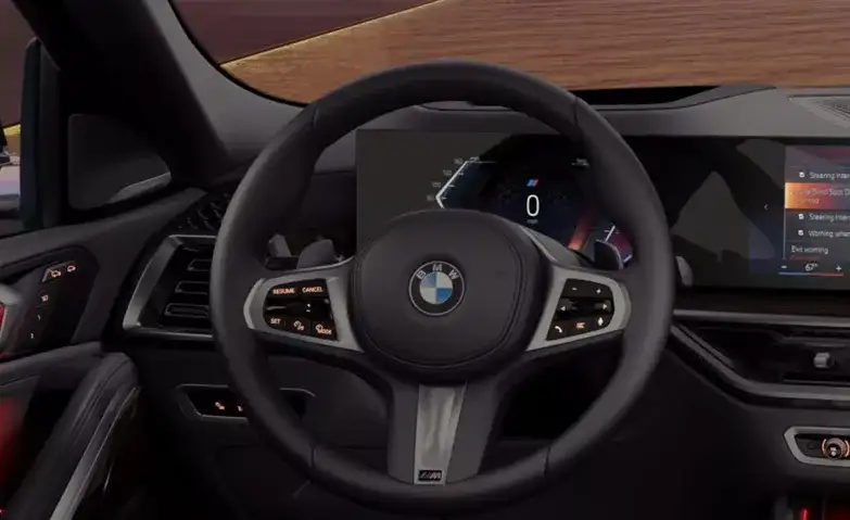 BMW X6 M Leather Steering Wheel