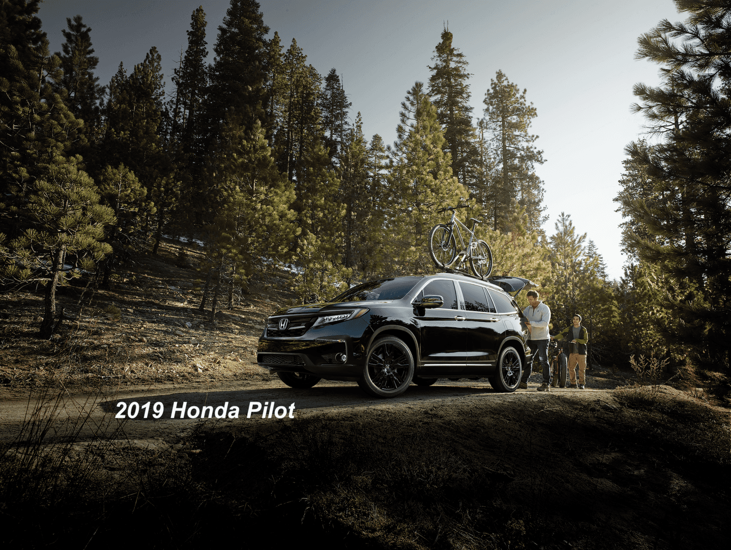 2019 Honda Pilot Location Photo