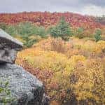 Landscape shot of a valley in Blue Hill Reservation