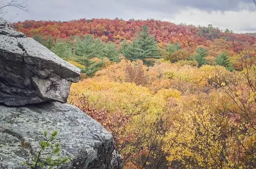 7 of the Best Hiking Trails Near Norwood, MA | Nucar Honda of Norwood