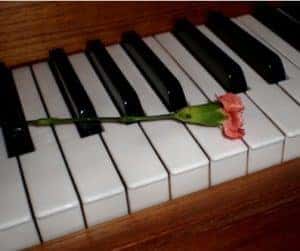 Piano keys from a music class in Norwood, MA.