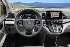 Odyssey Interior Palm Beach
