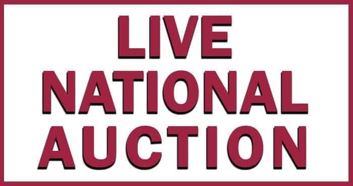 liveauction 2