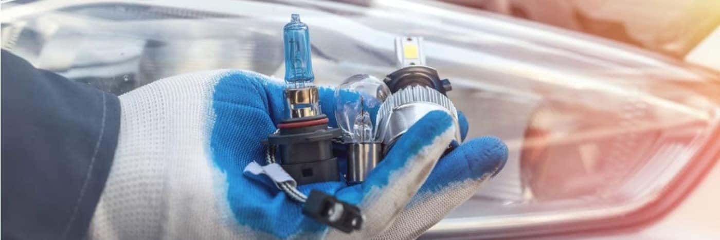 Close up view of person holding headlight bulbs