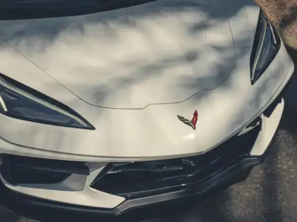 stingray exterior hood