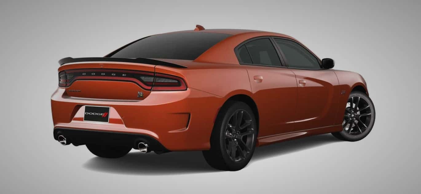 Scat Pack Design