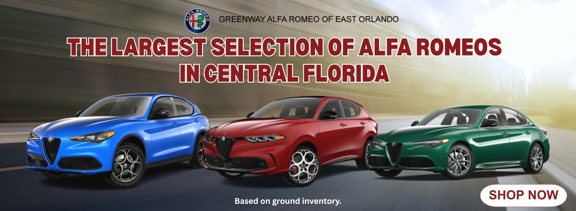 ARFG13878-Largest-Alfa-Inventory
