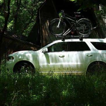 2020 Dodge Durango In The Woods
