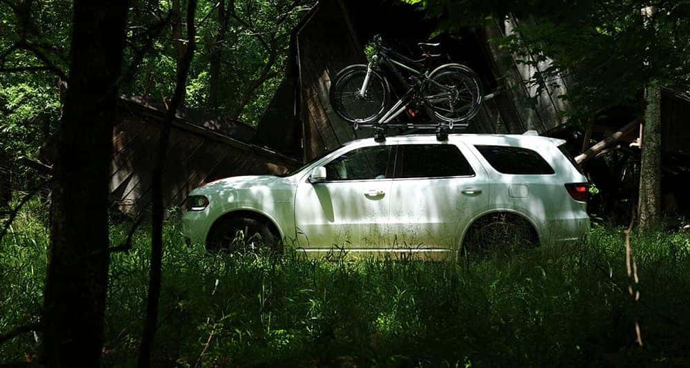 2020 Dodge Durango In The Woods