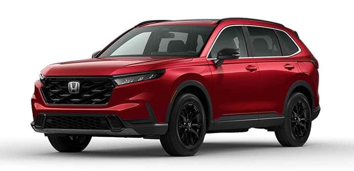 Sport Hybrid