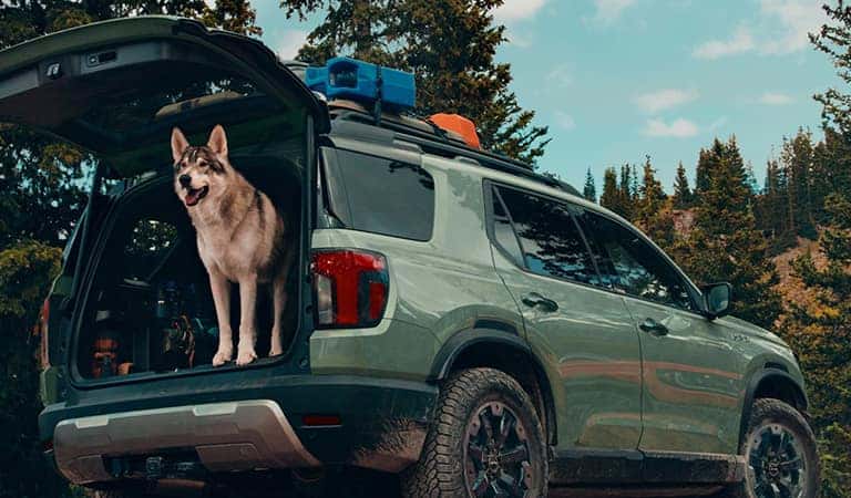 New 2026 Honda Passport Charleston SC
