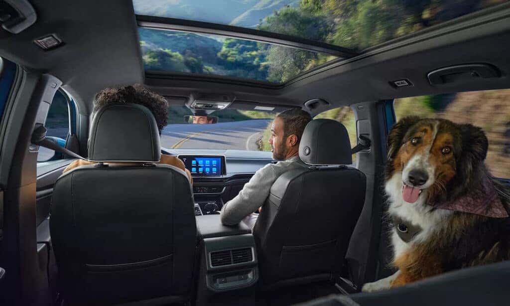 Maintain your IQ.Drive Safety Systems