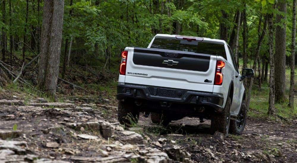 A white 2024 Chevy Silverado 1500 ZR2 Bison off-roading.