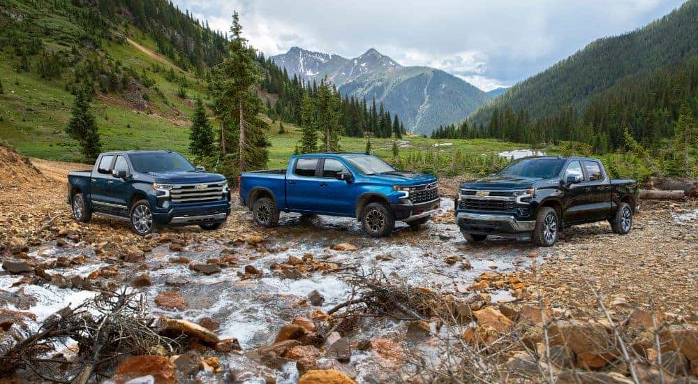A blue 2024 Chevy Silverado High Country, a blue ZR2, and a black LT are parked off-road.