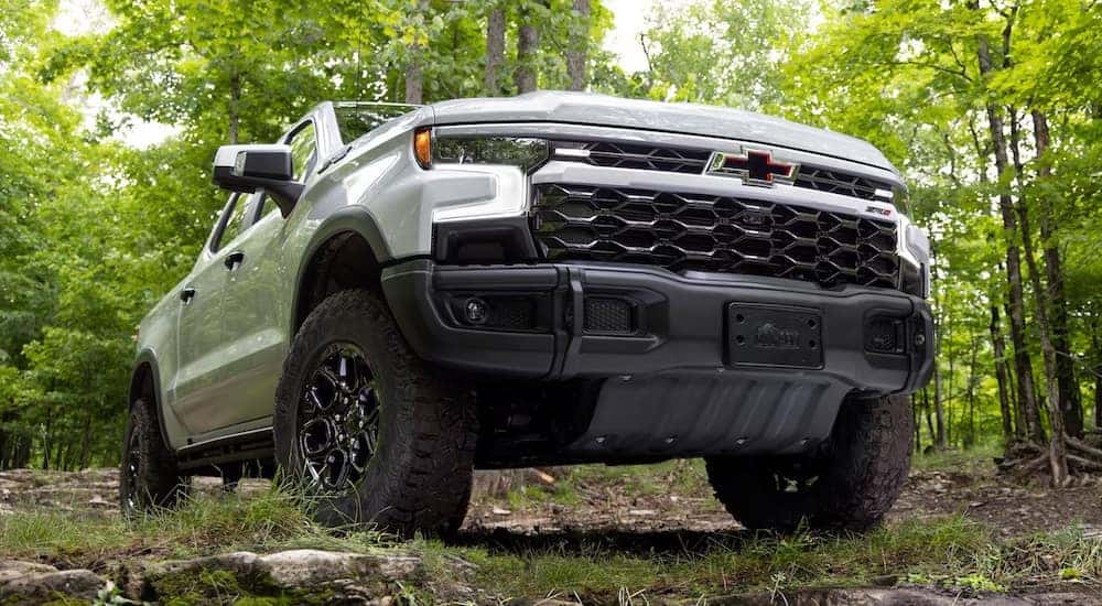 A white 2024 Chevy Silverado 1500 ZR2 parked in a forest.