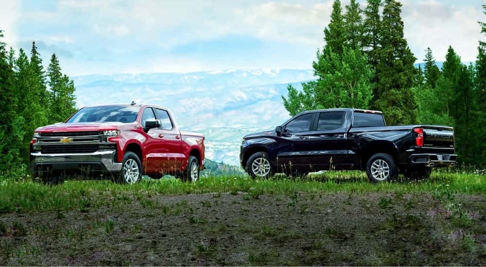 A red and a black 2019 Chevy Silverado 1500 Z71 parked in a clearing.