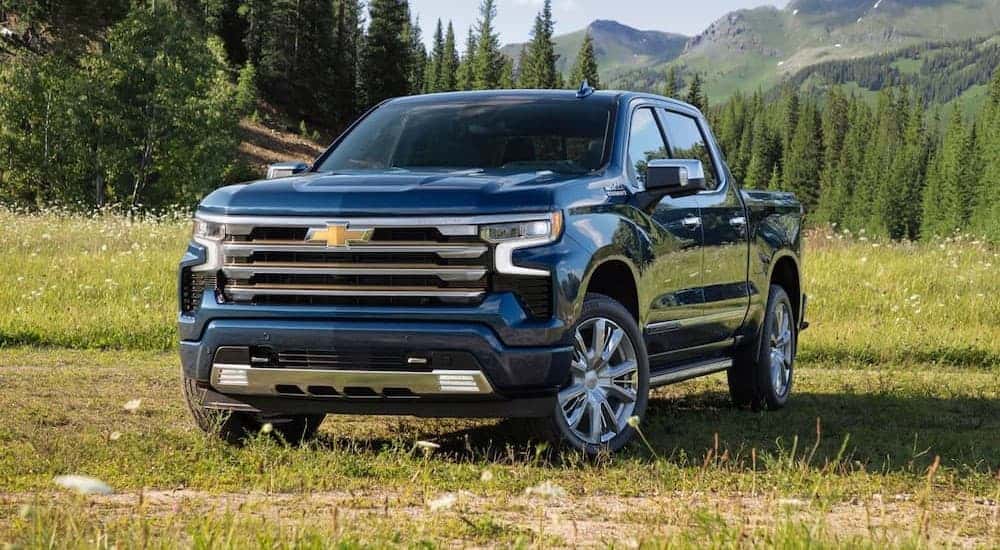 A blue 2023 Chevy Silverado 1500 parked on grass.