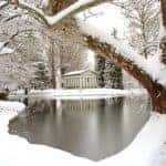 Snowy Winter Pond