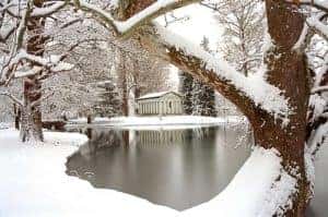 Snowy Winter Pond