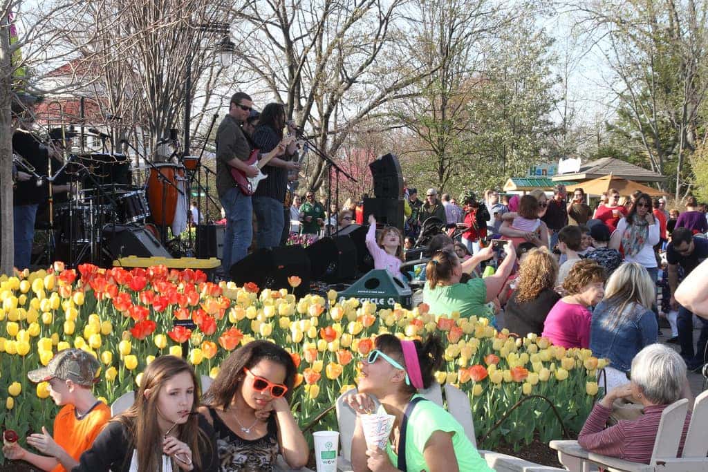 Spring Activities in Cincinnati, OH | Performance Kings Honda