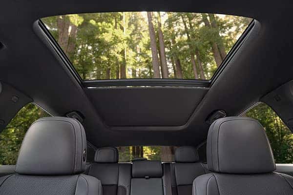 Toyota Prologue Interior