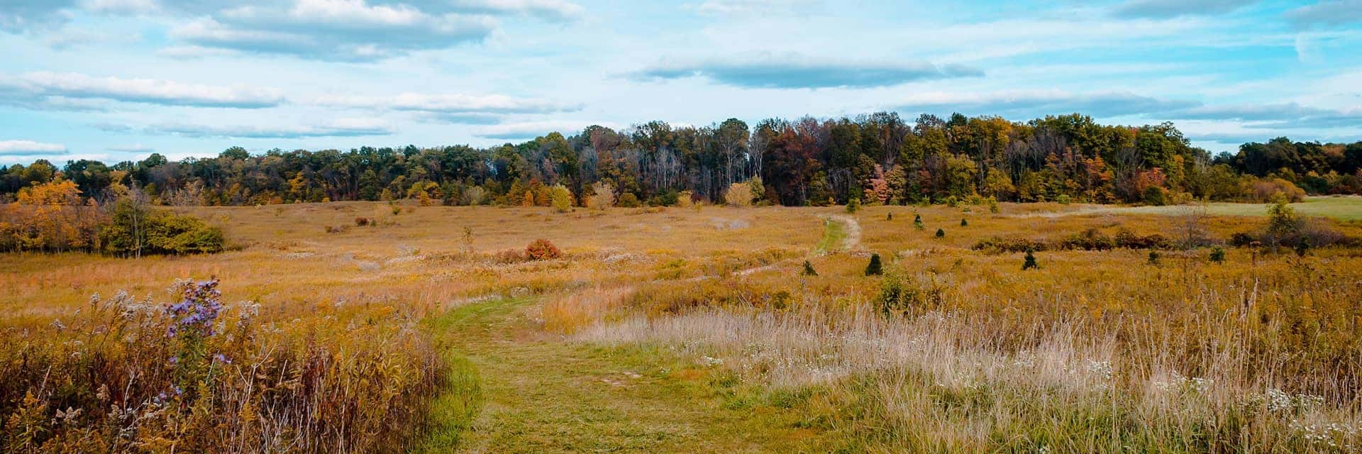 ohio landscape