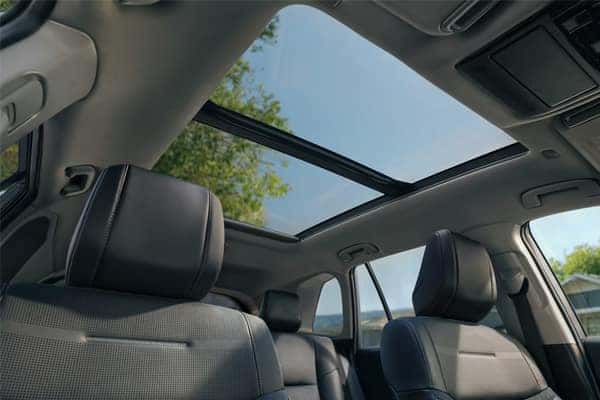 2026 Toyota RAV4 interior