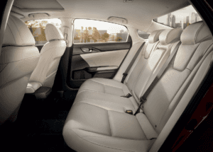 Cabin Space & Cargo Capacity