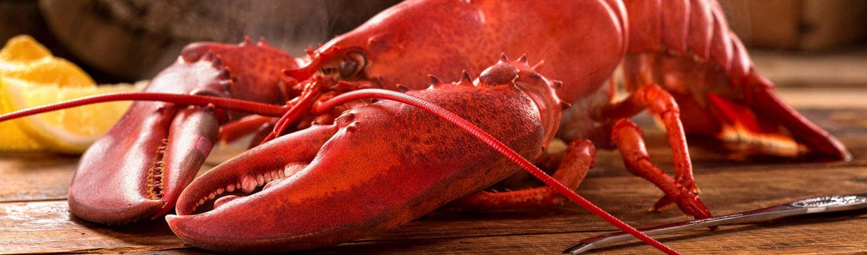 National Lobster Day near Port Charlotte FL