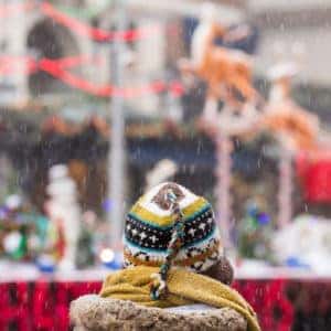 Holiday Parade