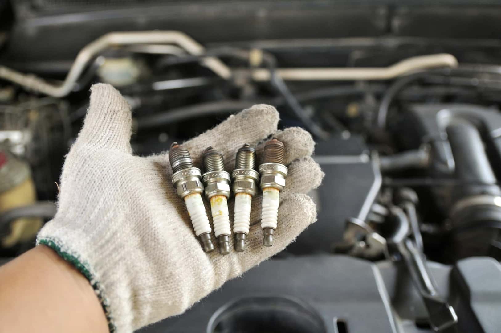Technician holding new spark plugs under open hood