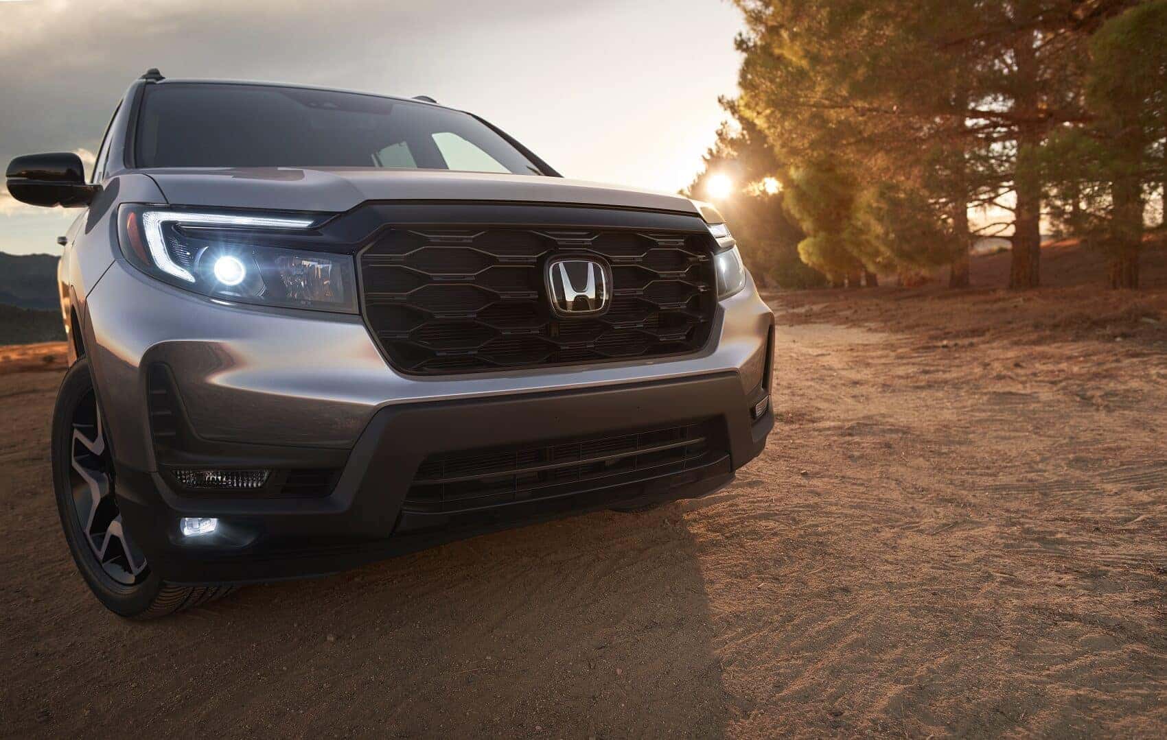 Honda Passport Face