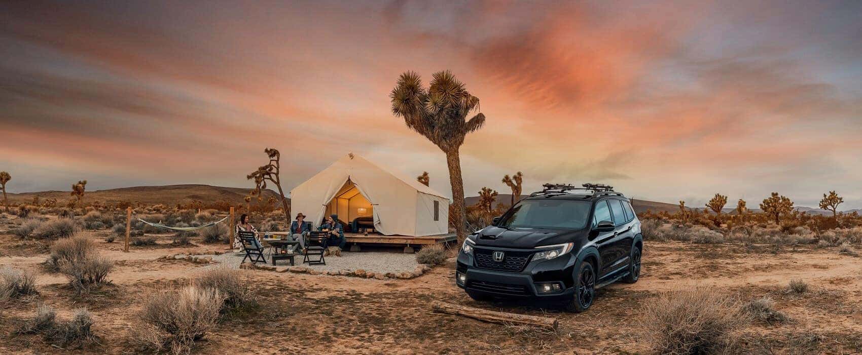 Used Honda Passport near Venice FL 