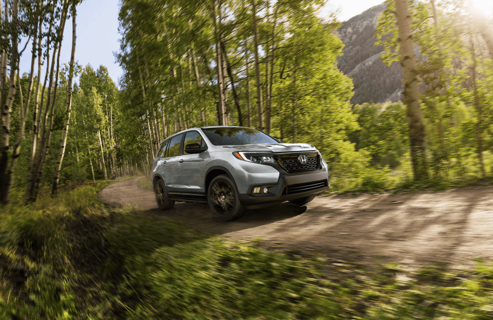 2021 Honda Passport Silver Woods