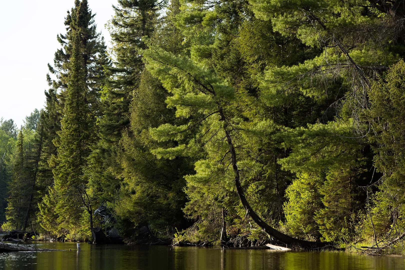 Boating Guide Evening On The Oxtongue River Pride Marine Group