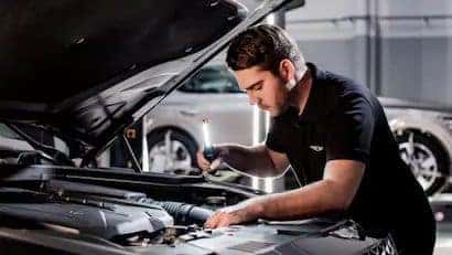 Genesis Service Package