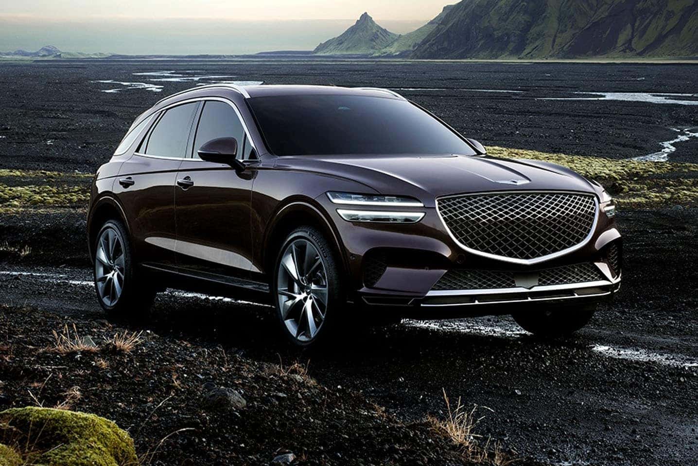 Genesis Exterior Accessories