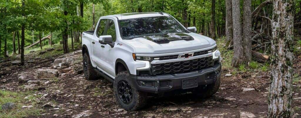 A white 2023 Chevy Silverado 1500 ZR2 Bison is shown off-roading on a forest trail.