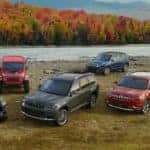 jeep vehicles in field