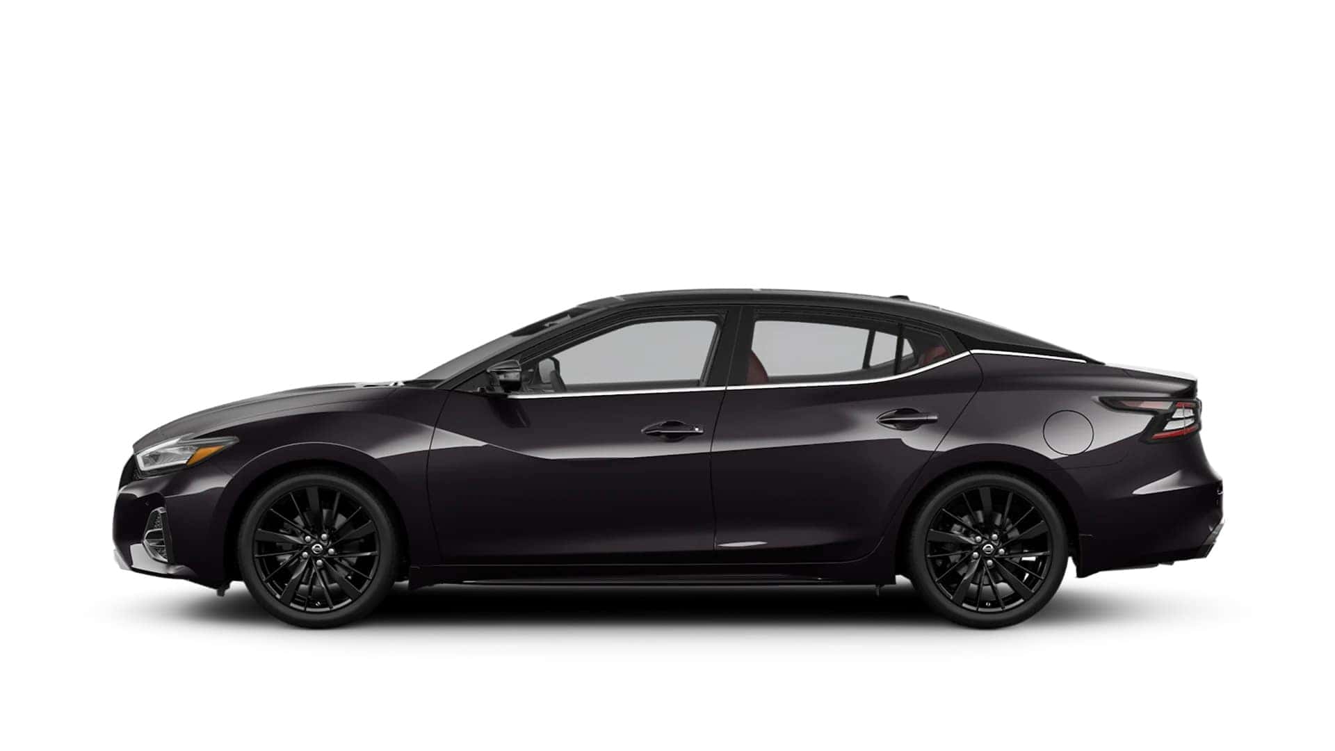 Maxima 40th Anniversary Edition